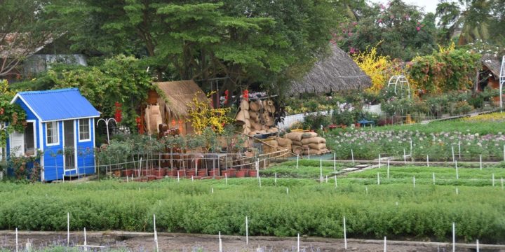 Một góc không gian tại cánh đồng hoa được nhiều bạn trẻ yêu thích