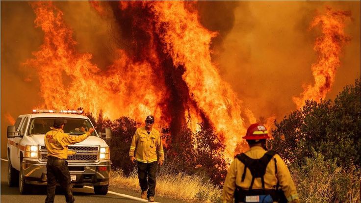 cháy rừng california