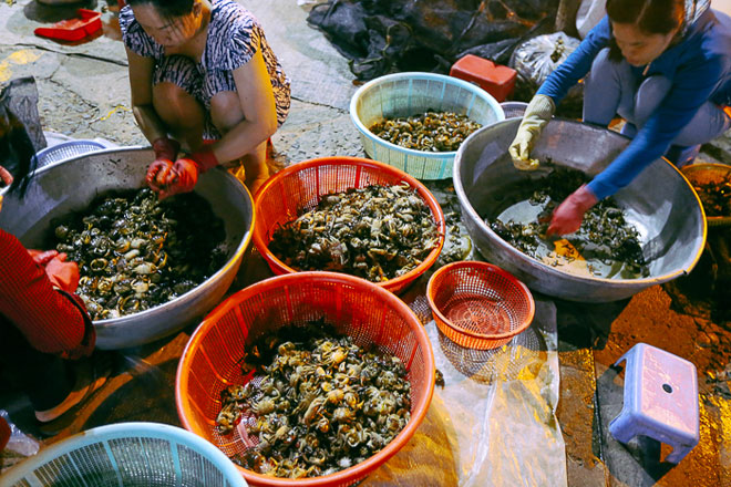 Chợ cua đồng gần nửa thế kỷ ở TP Hồ Chí Minh – Chợ không ngủ