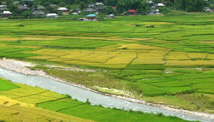 Long An, Hải Dương và Thái Nguyên được phép chuyển đổi mục đích sử dụng đất trồng lúa sang đất phi nông nghiệp