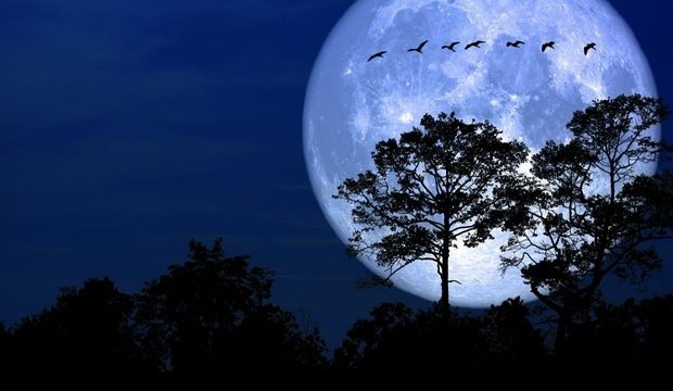 Những tác động kỳ lạ của Mặt trăng lên Trái đất